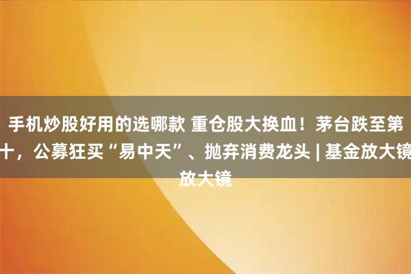 手机炒股好用的选哪款 重仓股大换血！茅台跌至第十，公募狂买“易中天”、抛弃消费龙头 | 基金放大镜