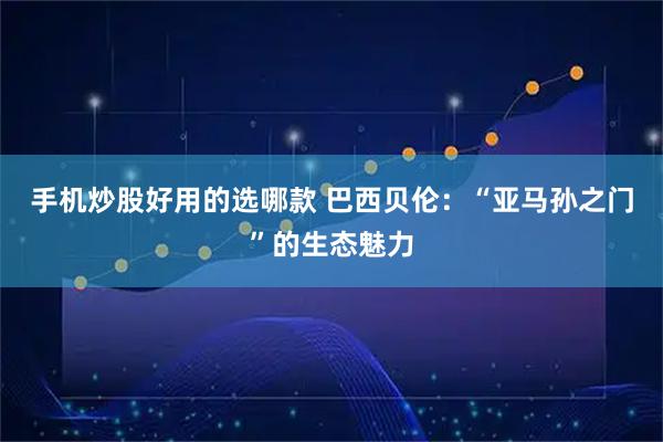 手机炒股好用的选哪款 巴西贝伦：“亚马孙之门”的生态魅力