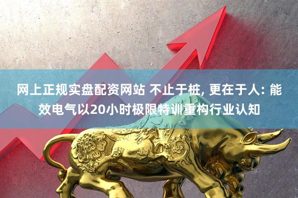 网上正规实盘配资网站 不止于桩, 更在于人: 能效电气以20小时极限特训重构行业认知