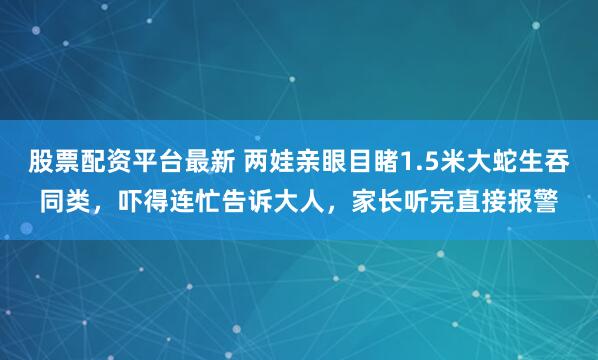 股票配资平台最新 两娃亲眼目睹1.5米大蛇生吞同类，吓得连忙告诉大人，家长听完直接报警